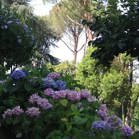 Bellavista