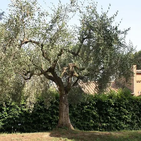Bellavista Sacrofano